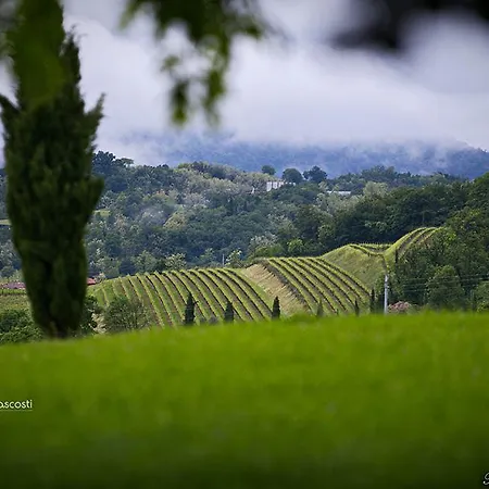 Apartment Wine & In Franciacorta